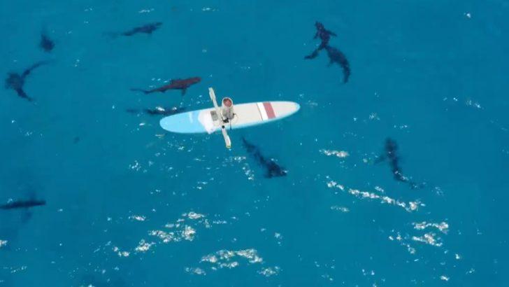 Bermuda Adaları’nda tehlikeli deney! Sörf tahtasıyla okyanusa açıldı ve.. G5