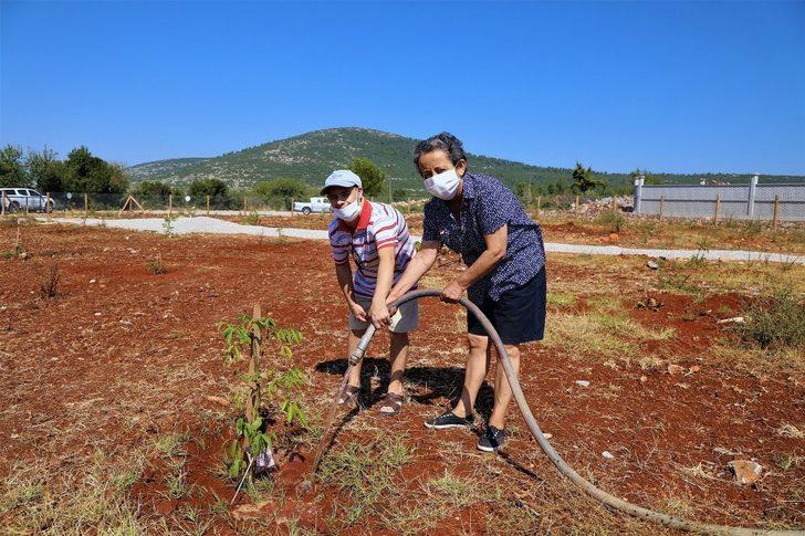 Yaşlılar ve engelliler için hobi bahçesi G2
