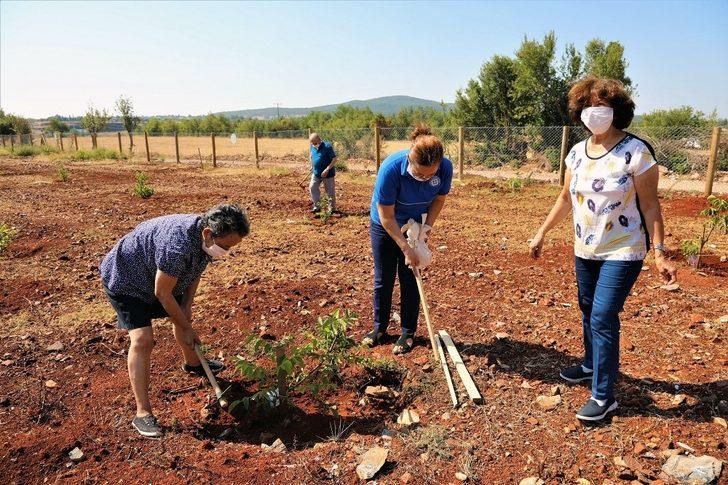 Yaşlılar ve engelliler için hobi bahçesi G3