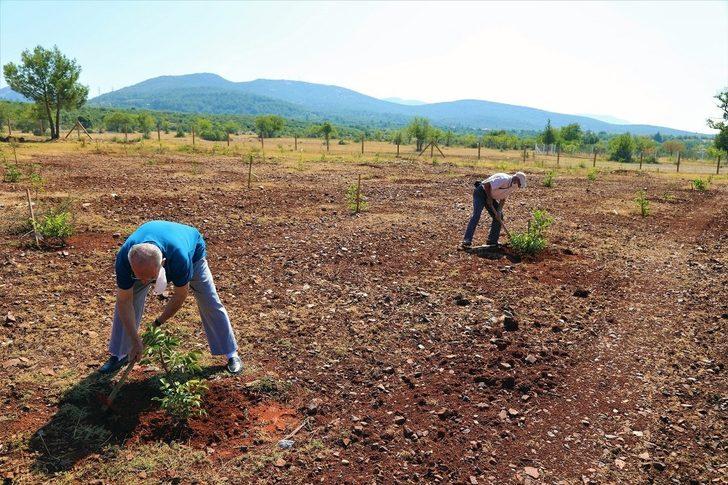 Yaşlılar ve engelliler için hobi bahçesi G4