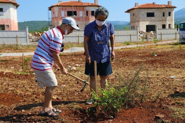 Yaşlılar ve engelliler için hobi bahçesi G5