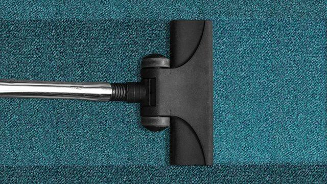 Bu detaylara dikkat etmezseniz evinizi pireler basabilir! Kurtulmak için...