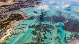 Mauritius’daki petrol felaketine karşı halk saçlarını bağışlıyor