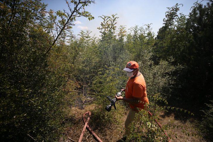 GÜNCELLEME - Düzce'de çıkan orman yangını söndürüldü G3