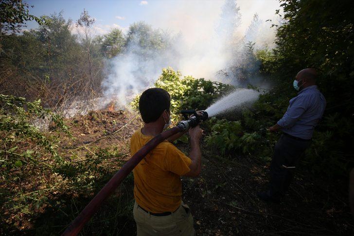 GÜNCELLEME - Düzce'de çıkan orman yangını söndürüldü G5