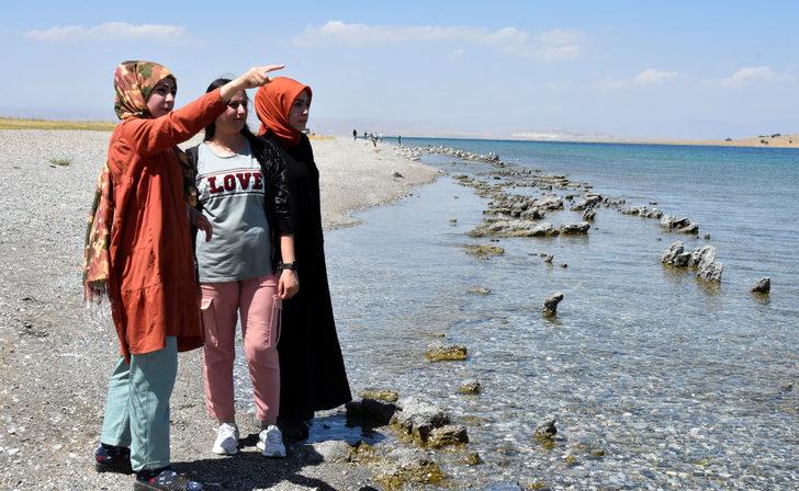 Van Gölü'nde gördüler! Sırtı dikenli ve hızlı hareket ediyor G1