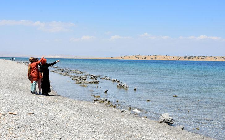 Van Gölü'nde gördüler! Sırtı dikenli ve hızlı hareket ediyor G2
