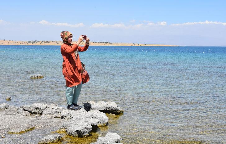 Van Gölü'nde gördüler! Sırtı dikenli ve hızlı hareket ediyor G3