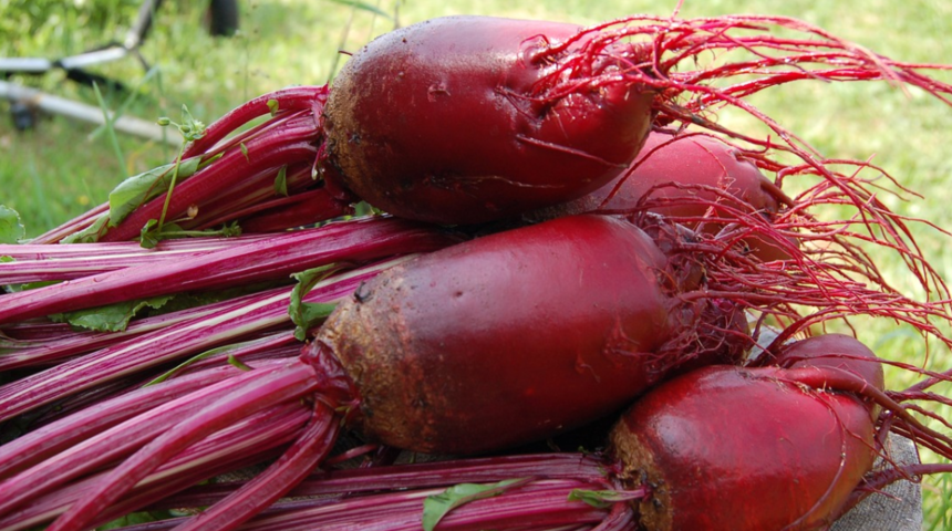 Kırmızı pancarın faydaları nelerdir? Nasıl pişirilir? Kan basıncına etkisi nedir?