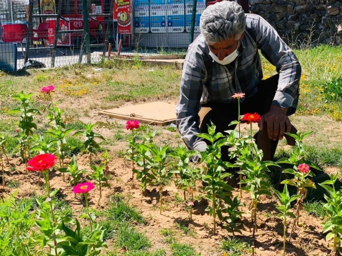 &Ccedil;aldıran Belediyesi il&ccedil;eyi &ccedil;i&ccedil;eklerle s&uuml;sl&uuml;yor