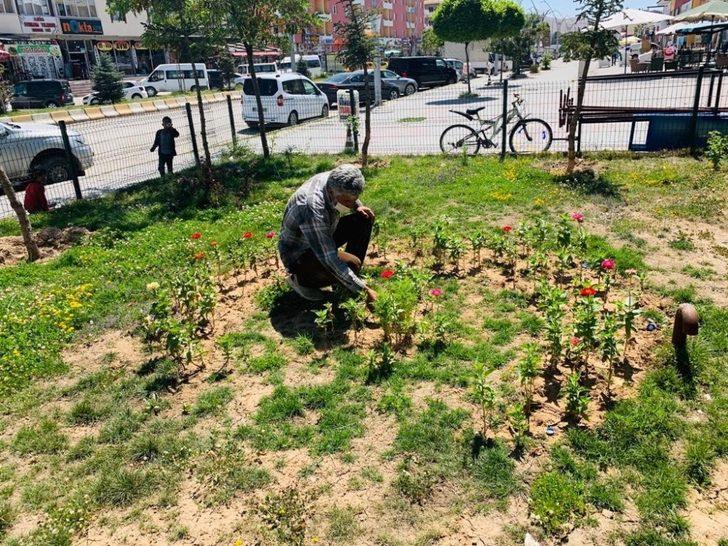 Çaldıran Belediyesi ilçeyi çiçeklerle süslüyor G3