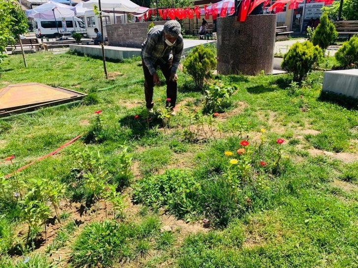 Çaldıran Belediyesi ilçeyi çiçeklerle süslüyor G4