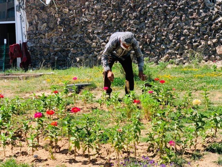 Çaldıran Belediyesi ilçeyi çiçeklerle süslüyor G5