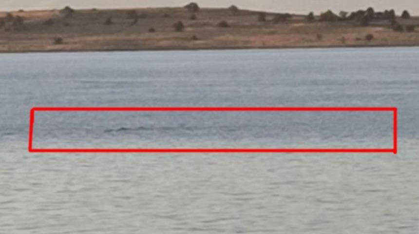 Van G&ouml;l&uuml; canavarı ger&ccedil;ekten var mı? Van G&ouml;l&uuml; canavarı g&ouml;r&uuml;ld&uuml; iddiası! Van G&ouml;l&uuml; canavarı nedir? İşte Van G&ouml;l&uuml; canavarı efsanesi!