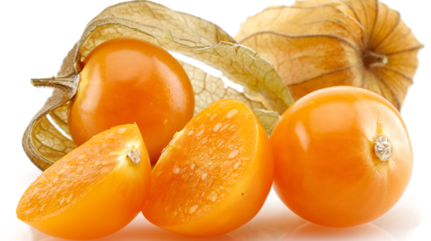 Altın &ccedil;ileğin faydaları nelerdir? Nerede yetişir? Ne zaman meyve verir?