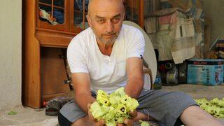 Amasya'nın tescilli 'gram altını'