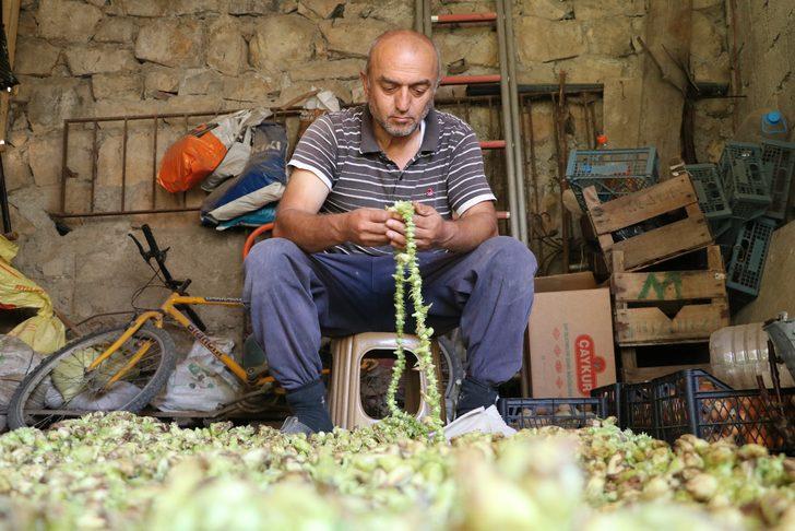 Amasya'nın tescilli 'gram altını' G1