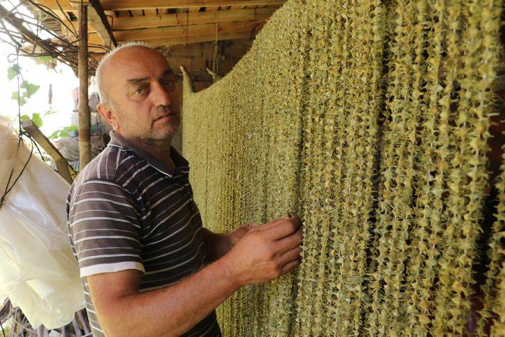 Amasya'nın tescilli 'gram altını' G2