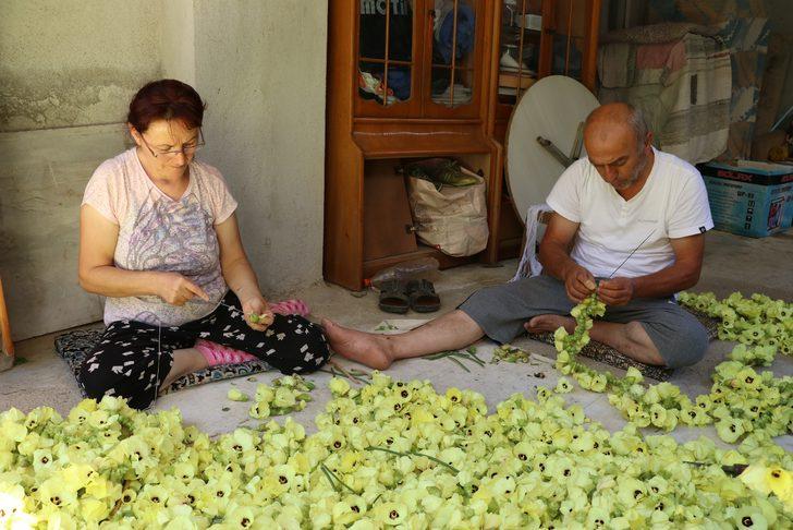 Amasya'nın tescilli 'gram altını' G3