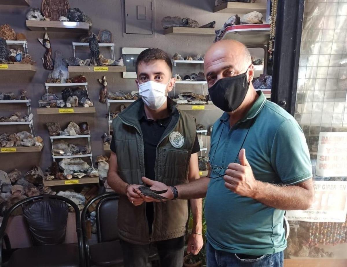 Yaralı kuşlar tedavi altına alındı