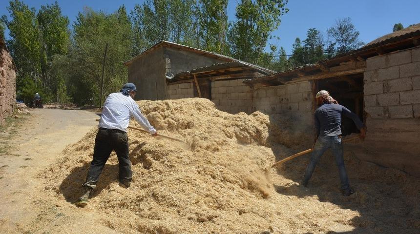 Tercan&rsquo;da kışlık saman hazırlıkları s&uuml;r&uuml;yor