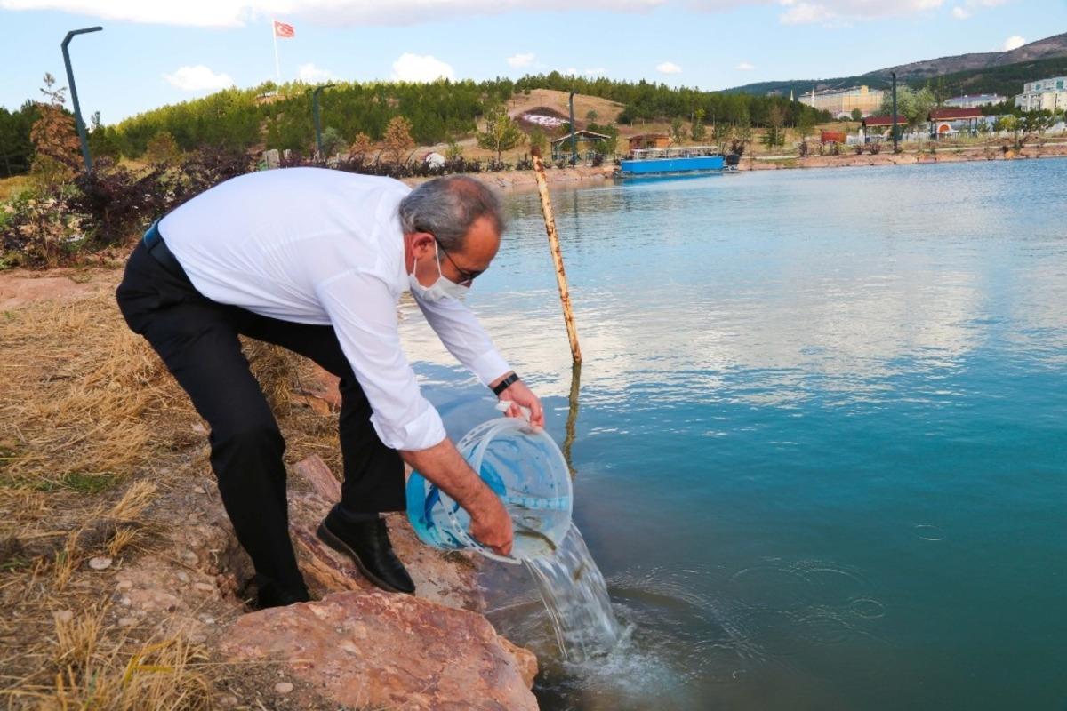&Uuml;niversite i&ccedil;erisindeki g&ouml;letin yosunlarını balıklarla temizlenecek