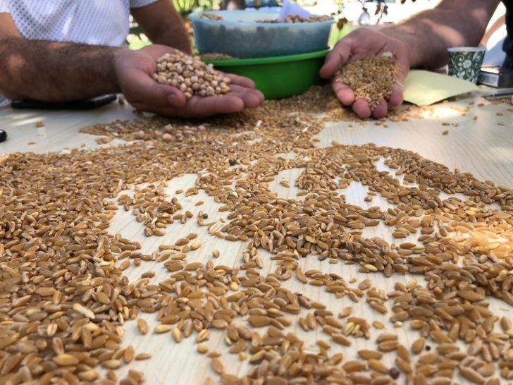 Mardin’de hububatçılar korona virüs yüzünden müzayede salonlarını kapattı G2