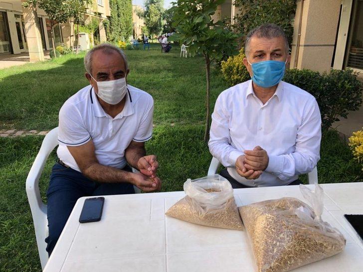 Mardin’de hububatçılar korona virüs yüzünden müzayede salonlarını kapattı G3