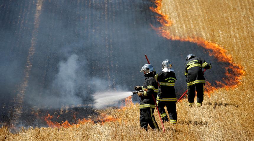 ABD'de 40 bin d&ouml;n&uuml;ml&uuml;k yangın