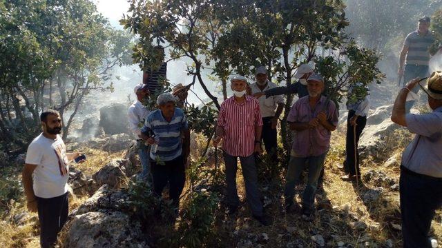 Kulp’ta orman yangını vatandaş, itfaiye ve güvenlik kuvvetleri tarafından söndürdü