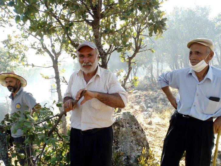 Kulp’ta orman yangını vatandaş, itfaiye ve güvenlik kuvvetleri tarafından söndürdü G2