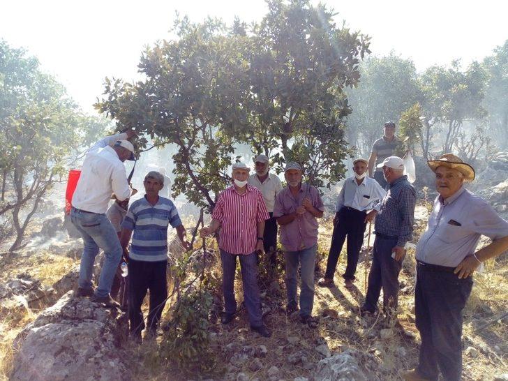 Kulp’ta orman yangını vatandaş, itfaiye ve güvenlik kuvvetleri tarafından söndürdü G3