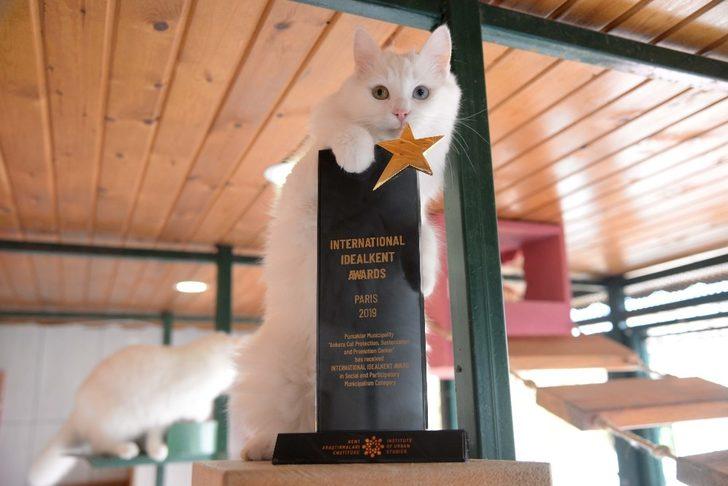 Sevimli dostlara sıcak bir yuva G2