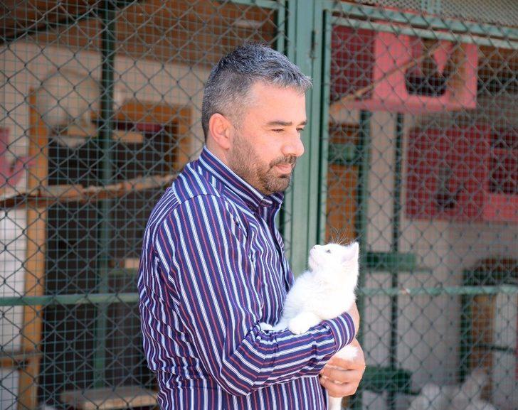 Sevimli dostlara sıcak bir yuva G3