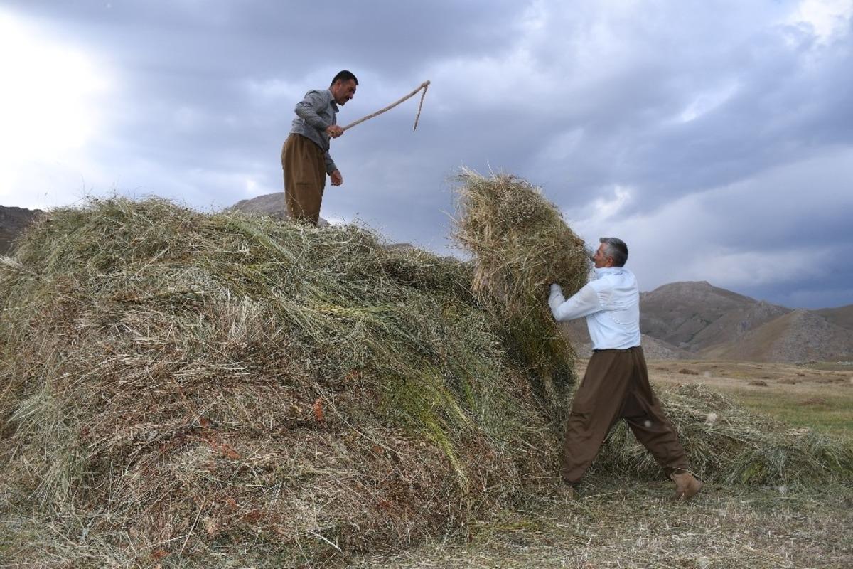 Şırnak&rsquo;ta saman hasadı başladı