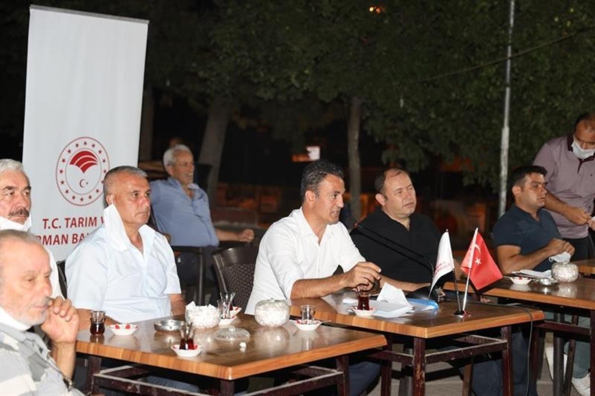 50 bin dekar alanda 1 milyon ceviz fidanı toprakla buluşuyor