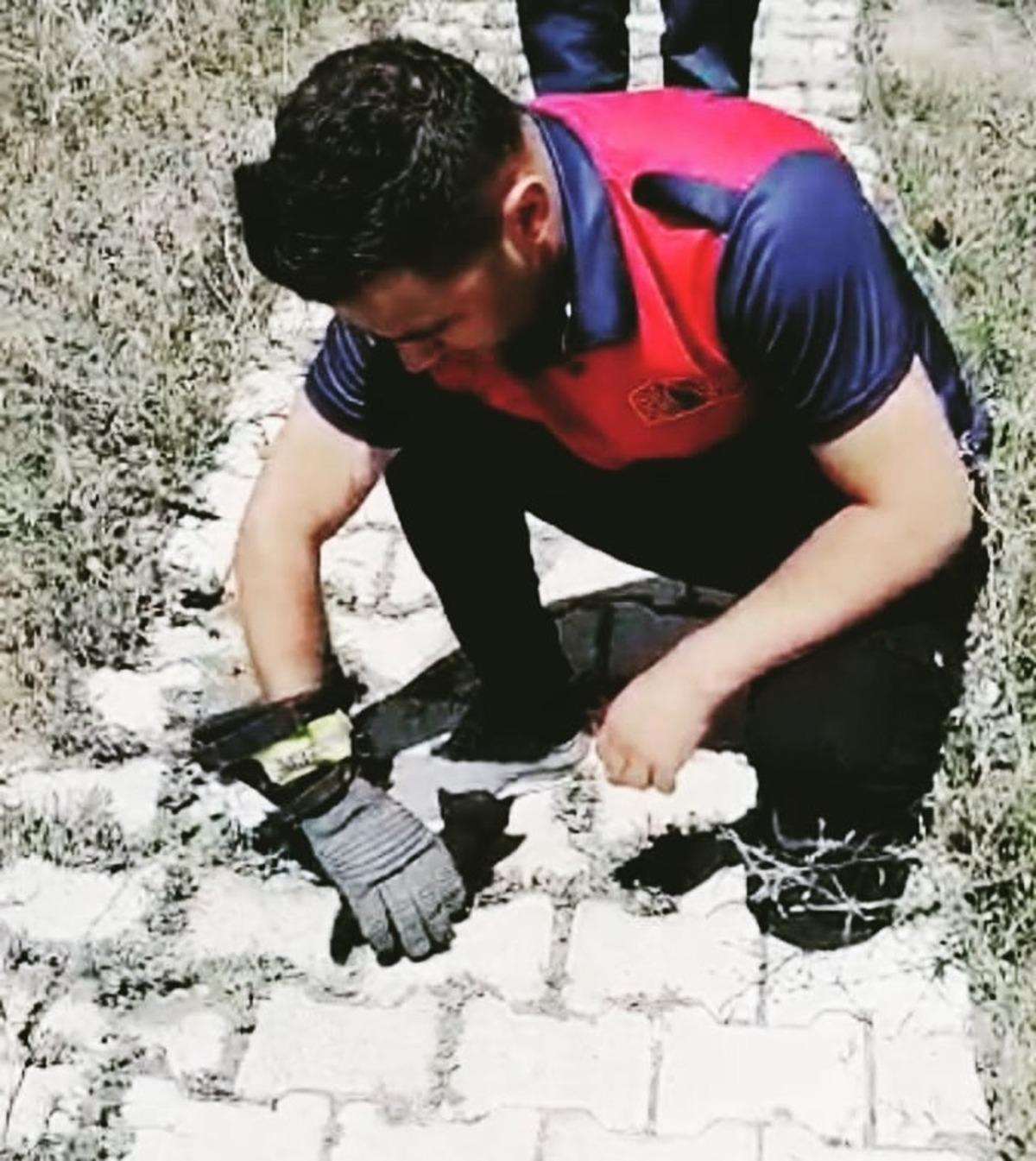 Mahsur kalan yavru kediler kurtarıldı