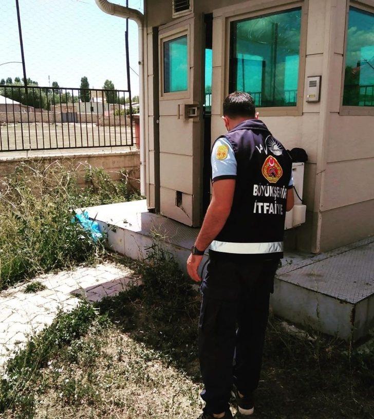 Mahsur kalan yavru kediler kurtarıldı G2