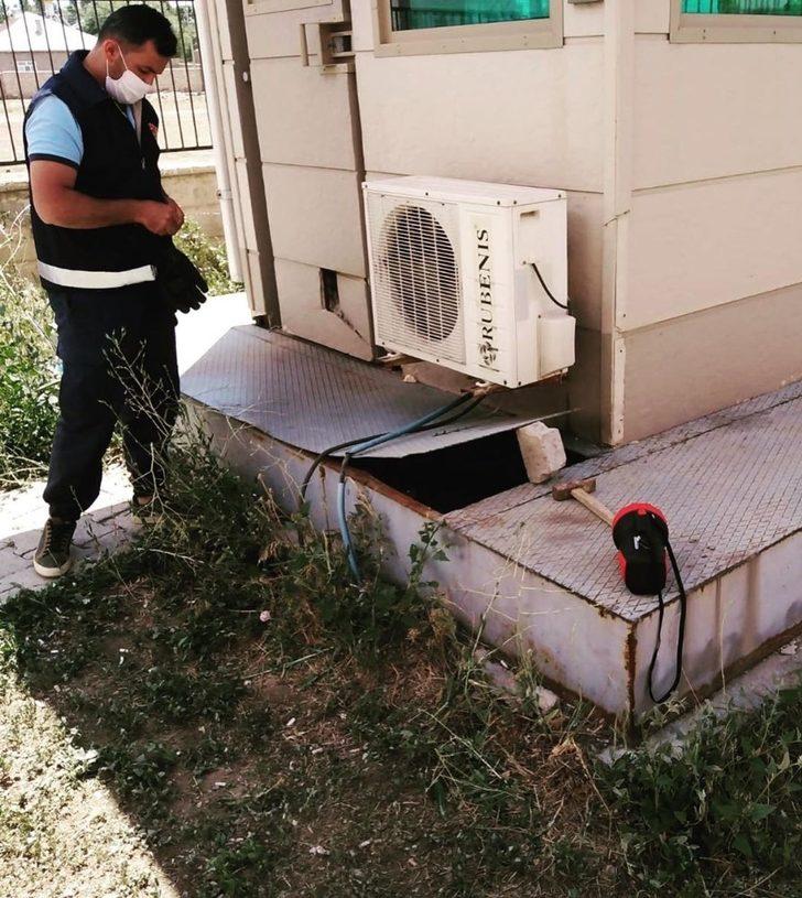 Mahsur kalan yavru kediler kurtarıldı G3