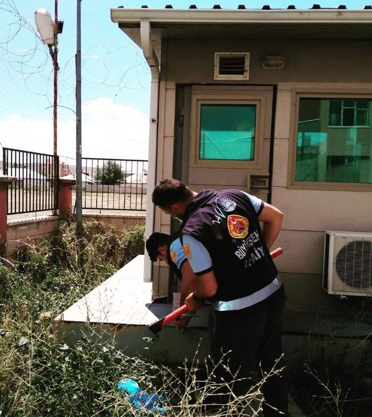 Mahsur kalan yavru kediler kurtarıldı G4