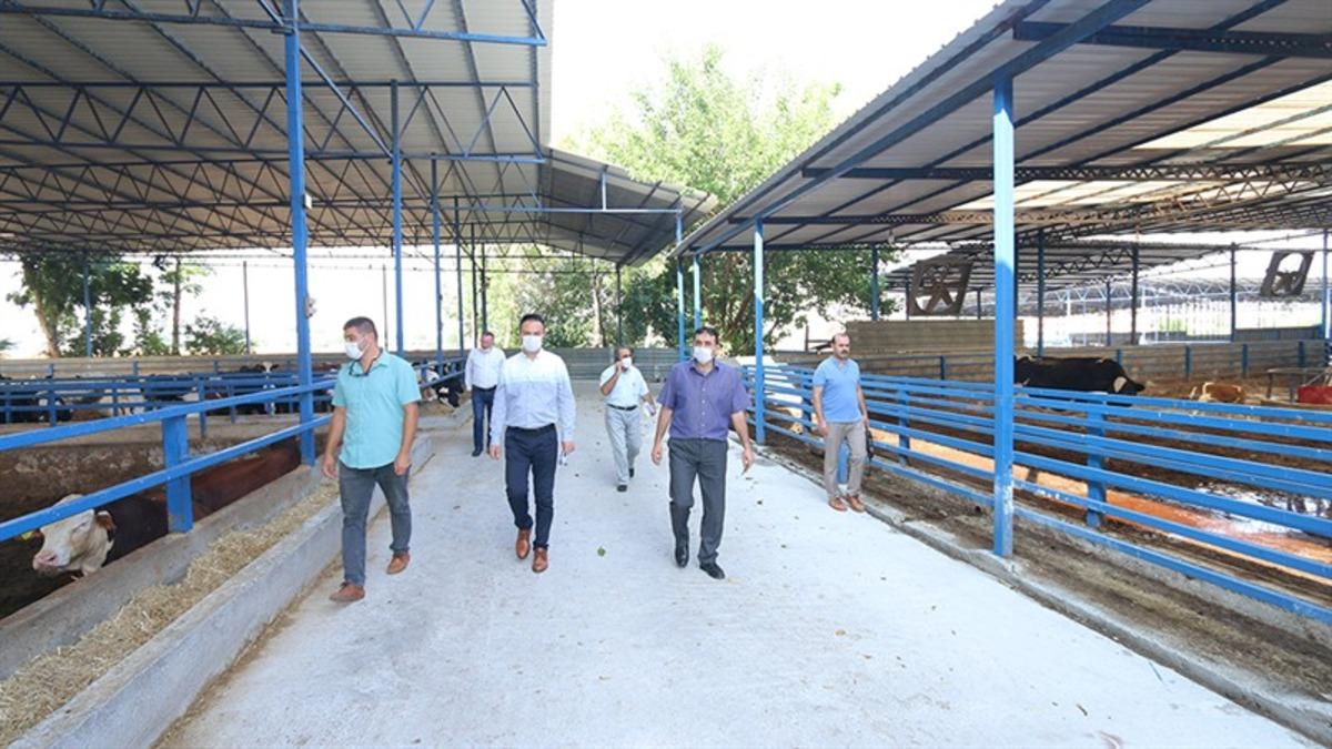 İl M&uuml;d&uuml;r&uuml; Recep Bulut, kalkınma yatırımlarını yerinde inceledi