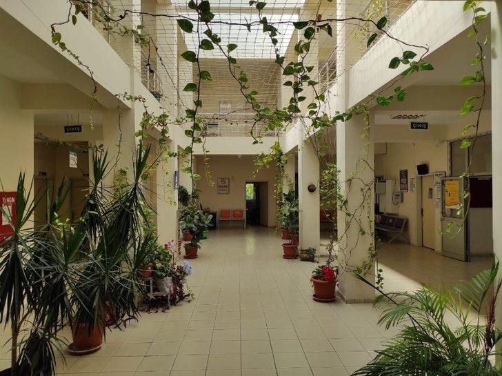 Çalışanların yeşil sevgisi sağlık ocağını botanik bahçeye çevirdi G1