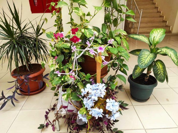 Çalışanların yeşil sevgisi sağlık ocağını botanik bahçeye çevirdi G4