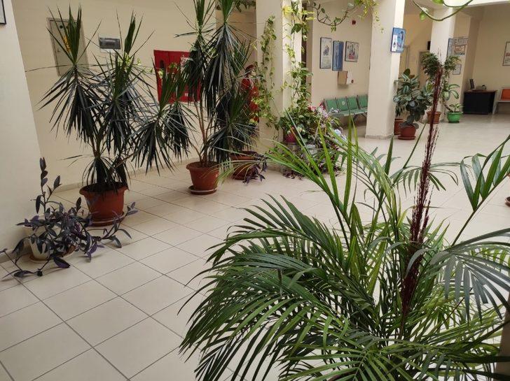 Çalışanların yeşil sevgisi sağlık ocağını botanik bahçeye çevirdi G5