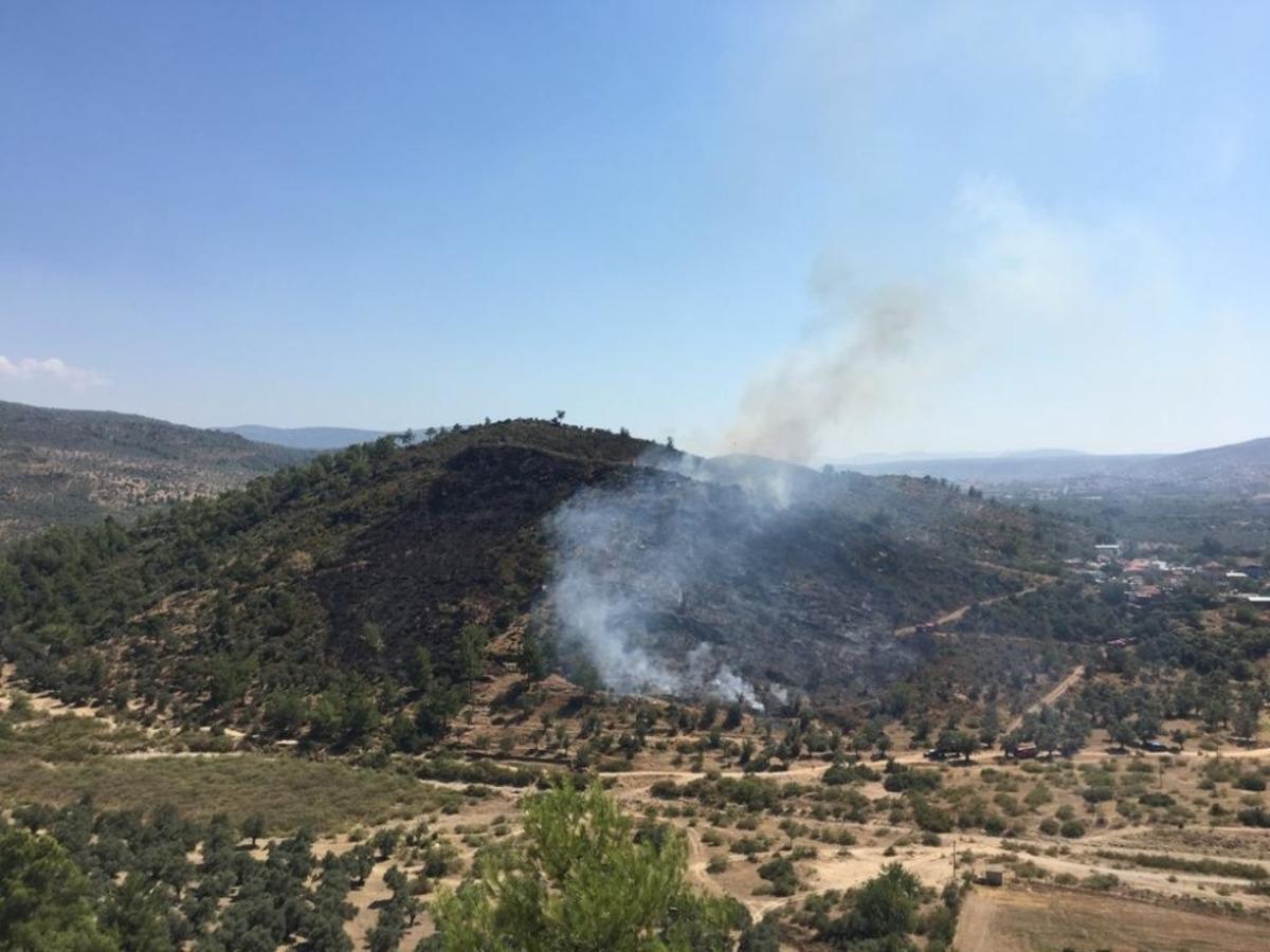 Milas&rsquo;taki yangın, hızlı m&uuml;dahale ile kontrol altına alındı