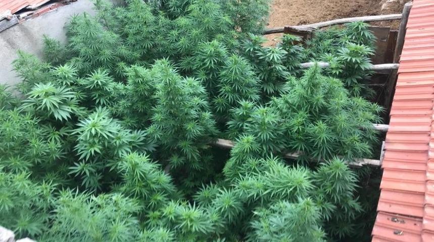 Uşak&rsquo;ta uyuşturucu operasyonu