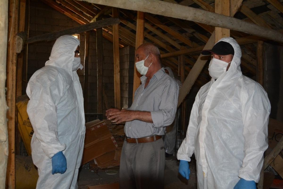 Hakkari&rsquo;de yarasa denetimi