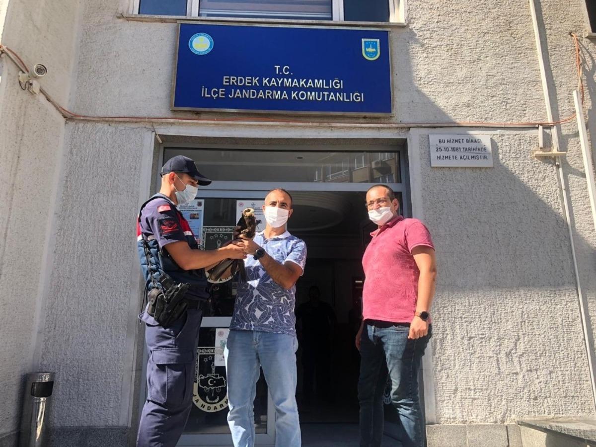 Yaralı kuşa jandarma şefkati