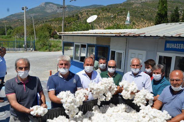 Söke’de ilk pamuk Gölbent ve Tuzburgaz’ından