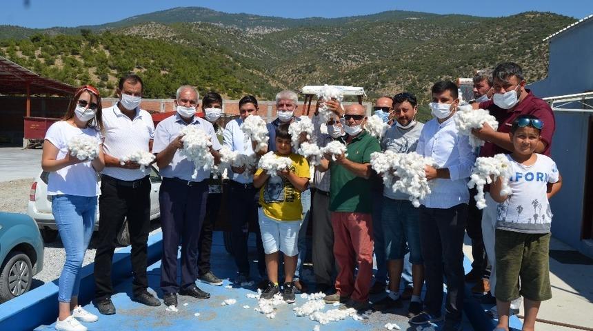 S&ouml;ke&rsquo;de ilk pamuk G&ouml;lbent ve Tuzburgaz&rsquo;ından